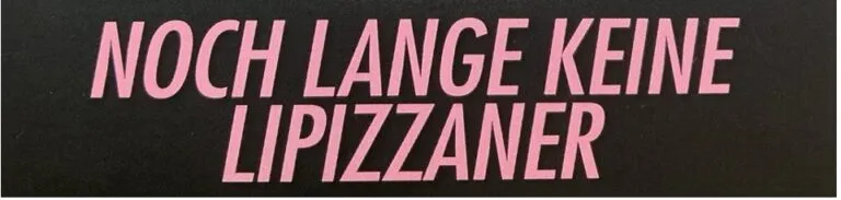Kunst und Kultur: Noch lange keine Lipizzaner